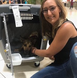 Hund aus Kuba nach Deutschland