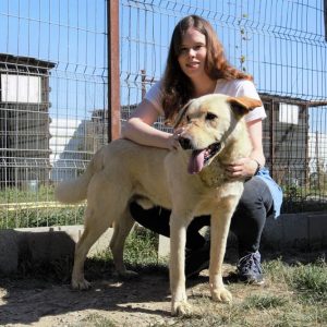 Ehrenamtliche Helferin Theresa mit Hund in einem Open Shelter Zwinger