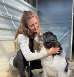 Ehrenamtliche Helferin Johanna hockt in einem Zwinger zu einem Hund
