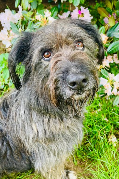 Moritz schaut mit liebevollem Blick