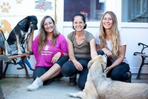 Vorstand von Hunderettung Europa mit Delia Botea im rumänischen Tierheim
