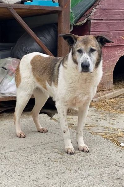 Mady steht auf dem Hof und schaut in die Kamera