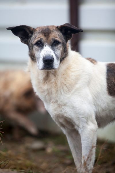 Mady schaut in die Kamera.