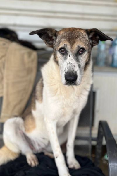 Mady schaut in die Kamera.