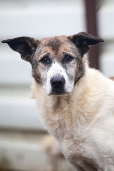 Mady schaut in die Kamera.