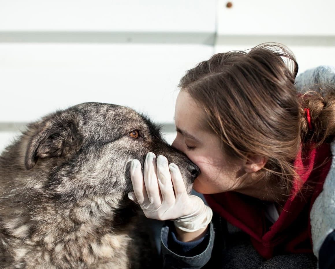 Frau kuschelt sich mit dem Gesicht an einen Hund
