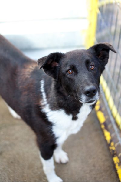 Tarja schaut in die Kamera