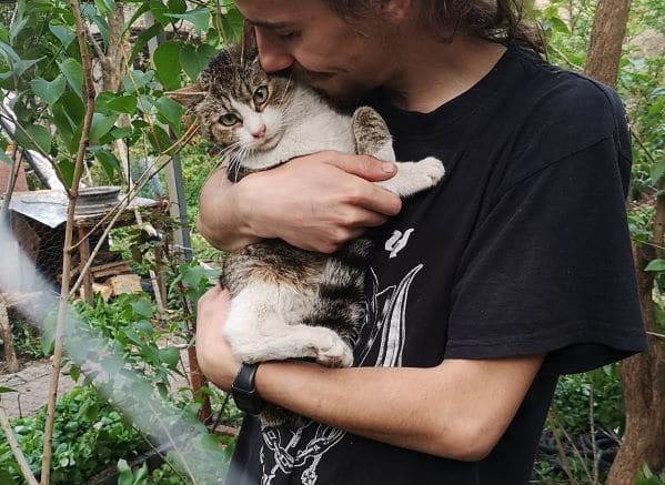 Katze Tammy wird auf dem Arm gehalten