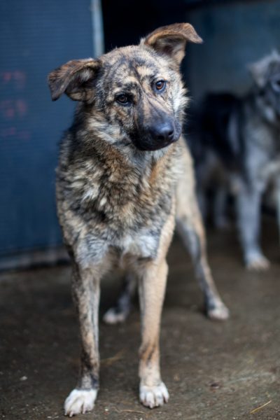 Riad schaut in die Kamera