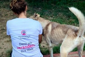 Eine Pflegerin trägt ein T-Shirt von Hunderettung Europa, auf dem steht "Denn wir verändern ihre Welt". Sie streichelt einen Hund.