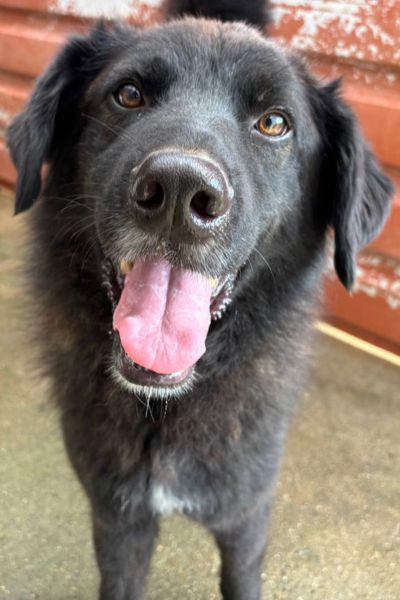 Joono schaut in die Kamera.