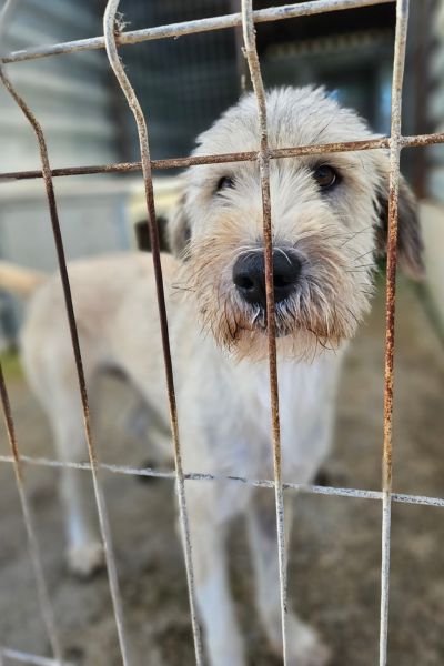 Ranja schaut in die Kamera.