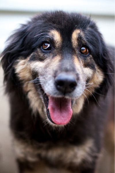 Hope lächelt in die Kamera.