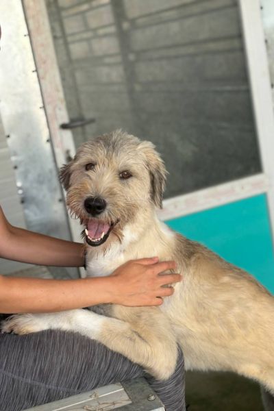 Ranja schaut in die Kamera.