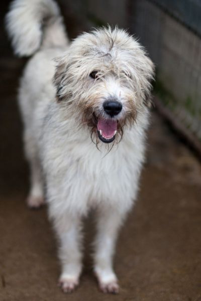 Ranja schaut freundlich in die Kamera.
