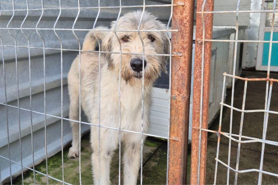 Ranja schaut in die Kamera.
