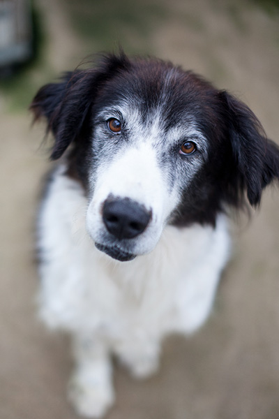 Jula schaut nach oben in die Kamera