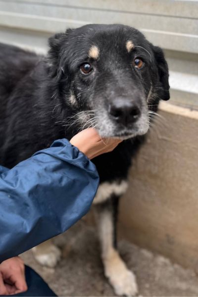 Bruno schaut in die Kamera.