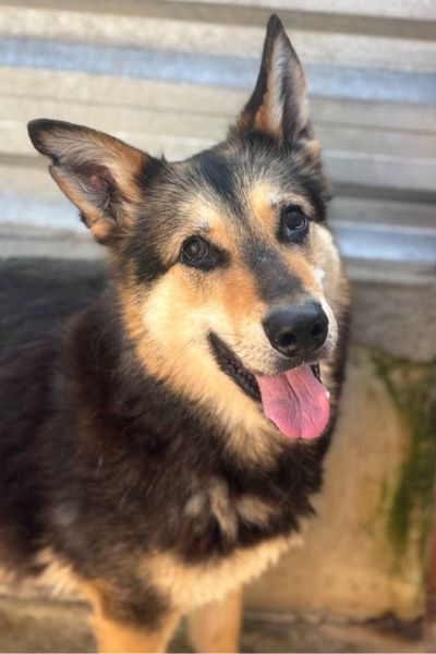 Nico schaut in die Kamera.