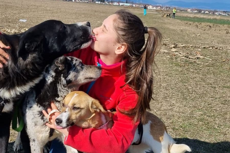 Hund gibt Mädchen Küsschen