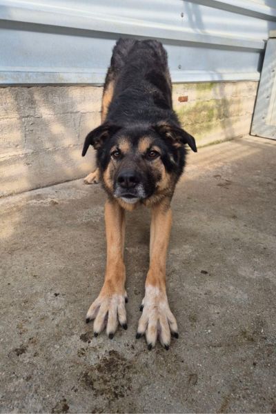 Thyme stretcht sich.