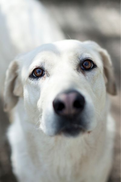 Niomi schaut in die Kamera