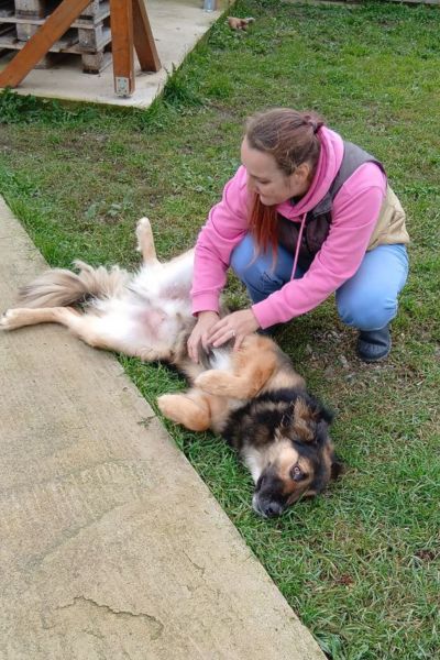 Koda genießt Streicheleinheiten auf dem Spielplatz