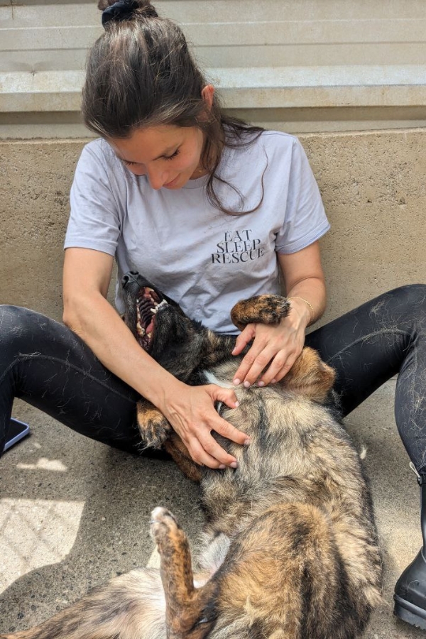 Ein Hund wird von einer Frau gestreichelt.