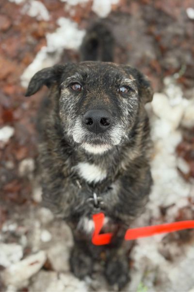 Dina schaut hoch in die Kamera.