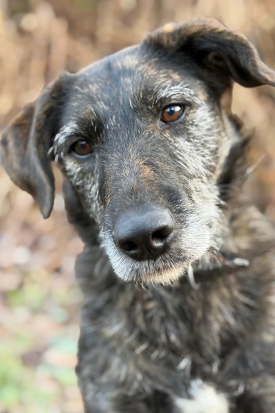 Dina schaut mit schhrägem Kopf in die Kamera.