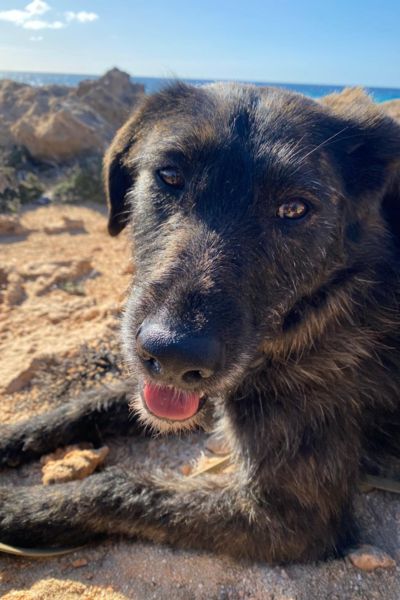 Dina schaut sich nach hinten um.