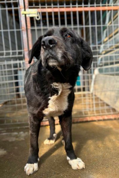 Kibito schaut neugierig in die Kamera