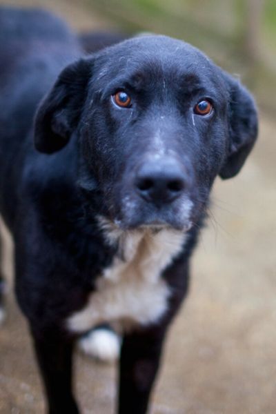 Kibito schaut neugierig in die Kamera