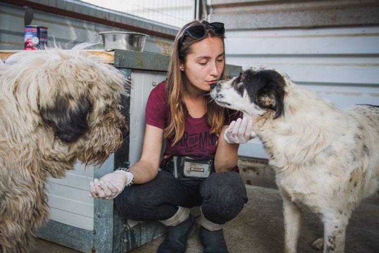 Eine Frau sitzt zwischen zwei Hunden und küsst einen der zwei auf die Schnauze