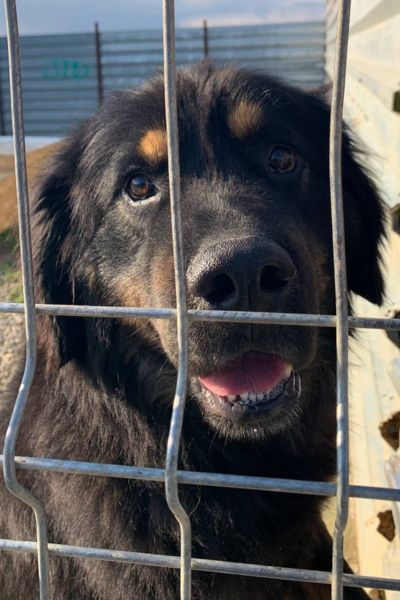 Julito schaut in die Kamera.