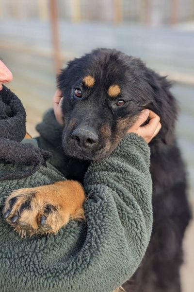 Julito schaut in die Kamera.