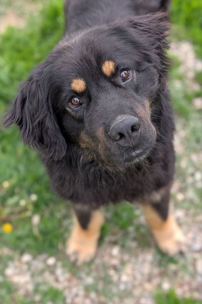 Julito schaut in die Kamera.