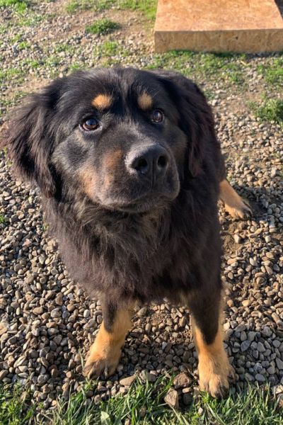 Julito schaut in die Kamera.