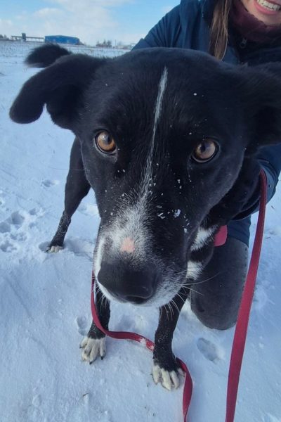 zurueckhaltender eaki