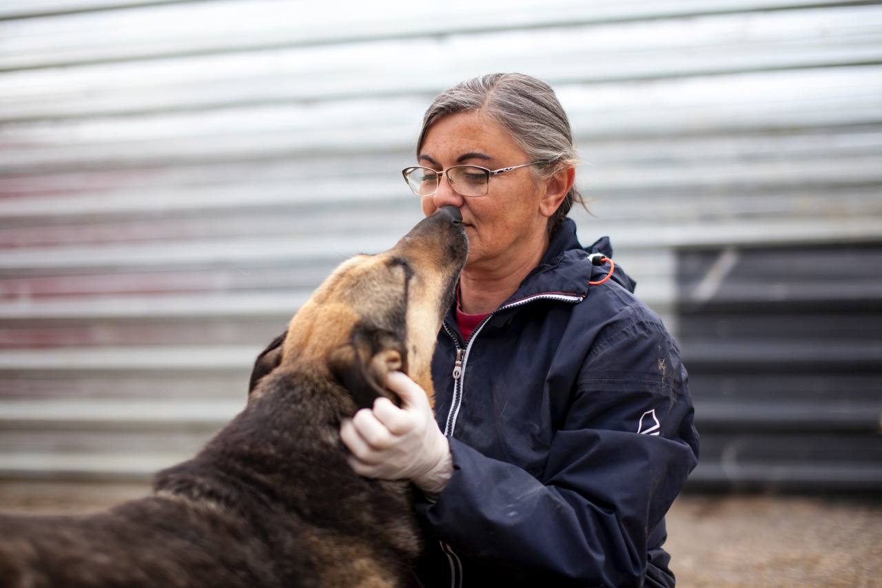 Ein Hund schlecht Tierpflegerin Alina übers Gesicht