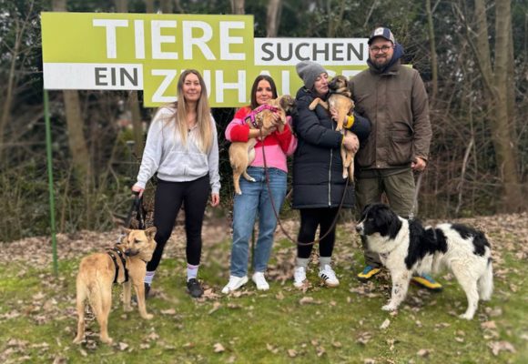 Vier Menschen stehen vor einem Schild und haben jeweils einen Hund auf dem Arm oder an der Leine