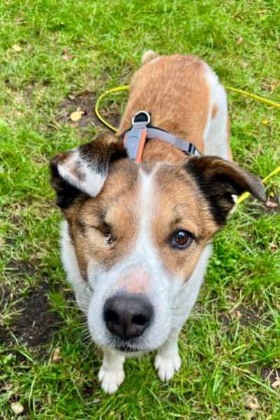 Ivara steht und schaut hoch in die Kamera.