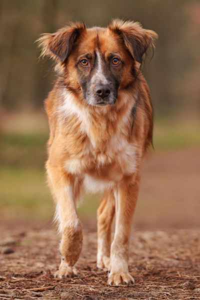 Lupita läuft draußen auf die Kamera zu.