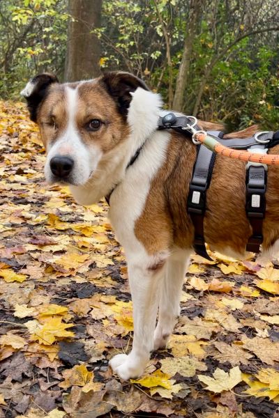 Ivana steht und schaut in die Kamera.