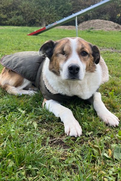 Ivana liegt im Gras und schaut in die Kamera.