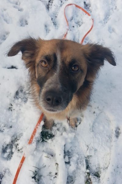 Lupita sitzt im Schnee und schaut in die Kamera.