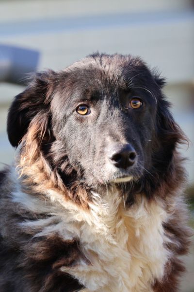 Sprotte schaut in die Kamera.