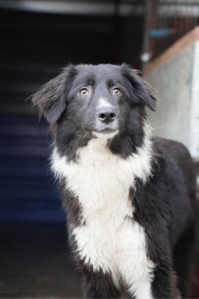 Trude schaut in die Kamera.