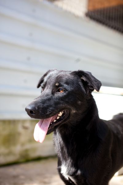 Torte schaut freundlich zur Seite.