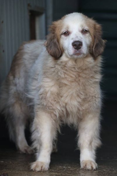 Lydia schaut in die Kamera